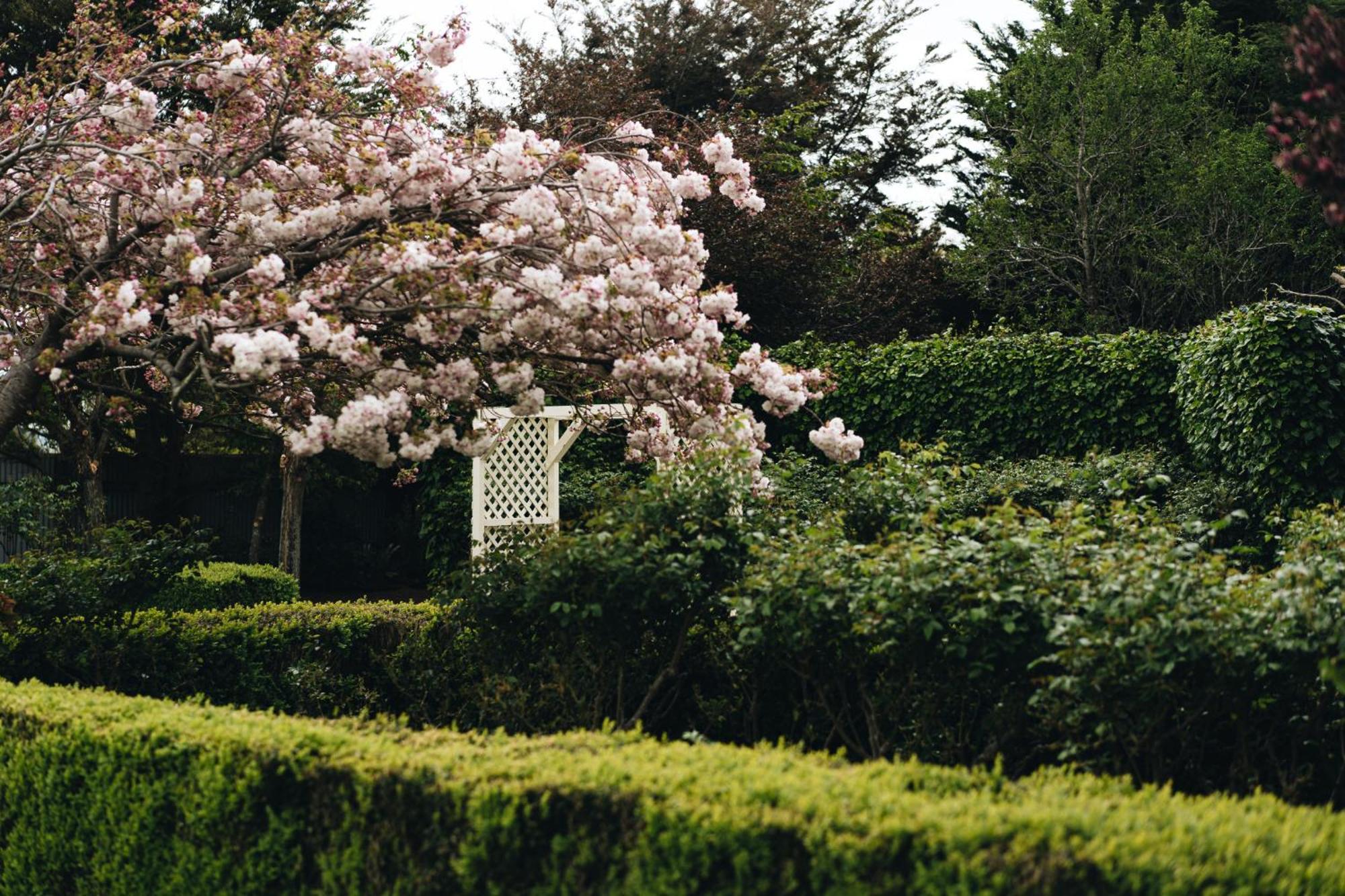 Brackenridge Country Retreat & Spa Martinborough Ngoại thất bức ảnh