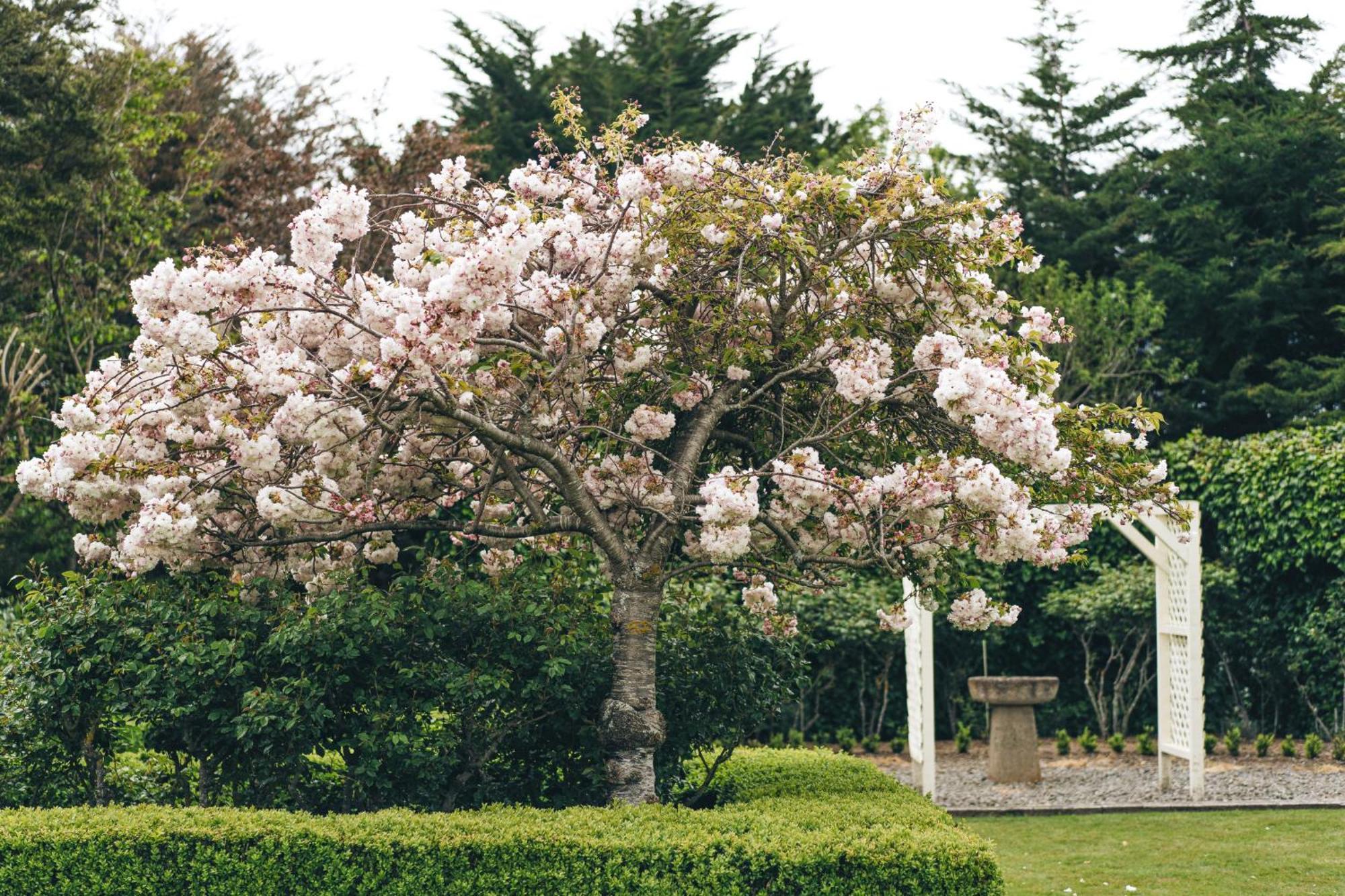 Brackenridge Country Retreat & Spa Martinborough Ngoại thất bức ảnh